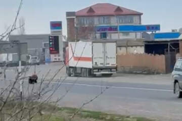 ЛПХ, 250 сот.